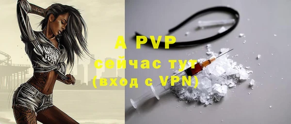 дживик Богданович