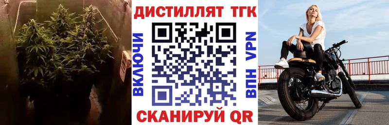 купить наркоту Дубна ТГК THC oil